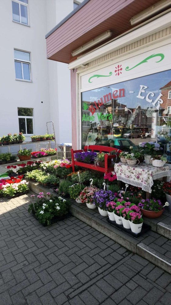  عقار تجاري في Schwerin, Germany 47متر مربع رقم 369185