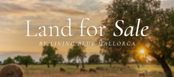 Terreno en Santa Maria Del Cami, Spain No. 188764 2