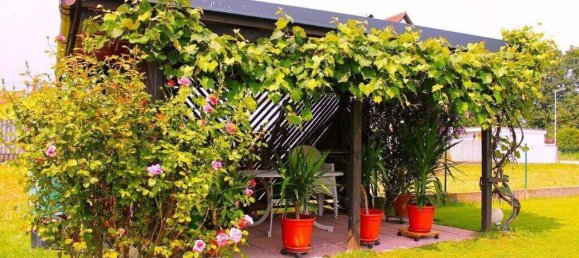 5-salle Maison à Pinkafeld, Austria No. 214373 28