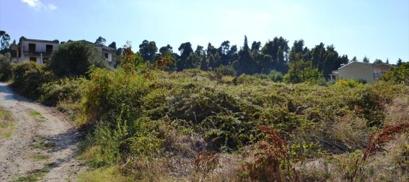 فندق في Chalkidiki, Greece 740متر مربع رقم 56581 2