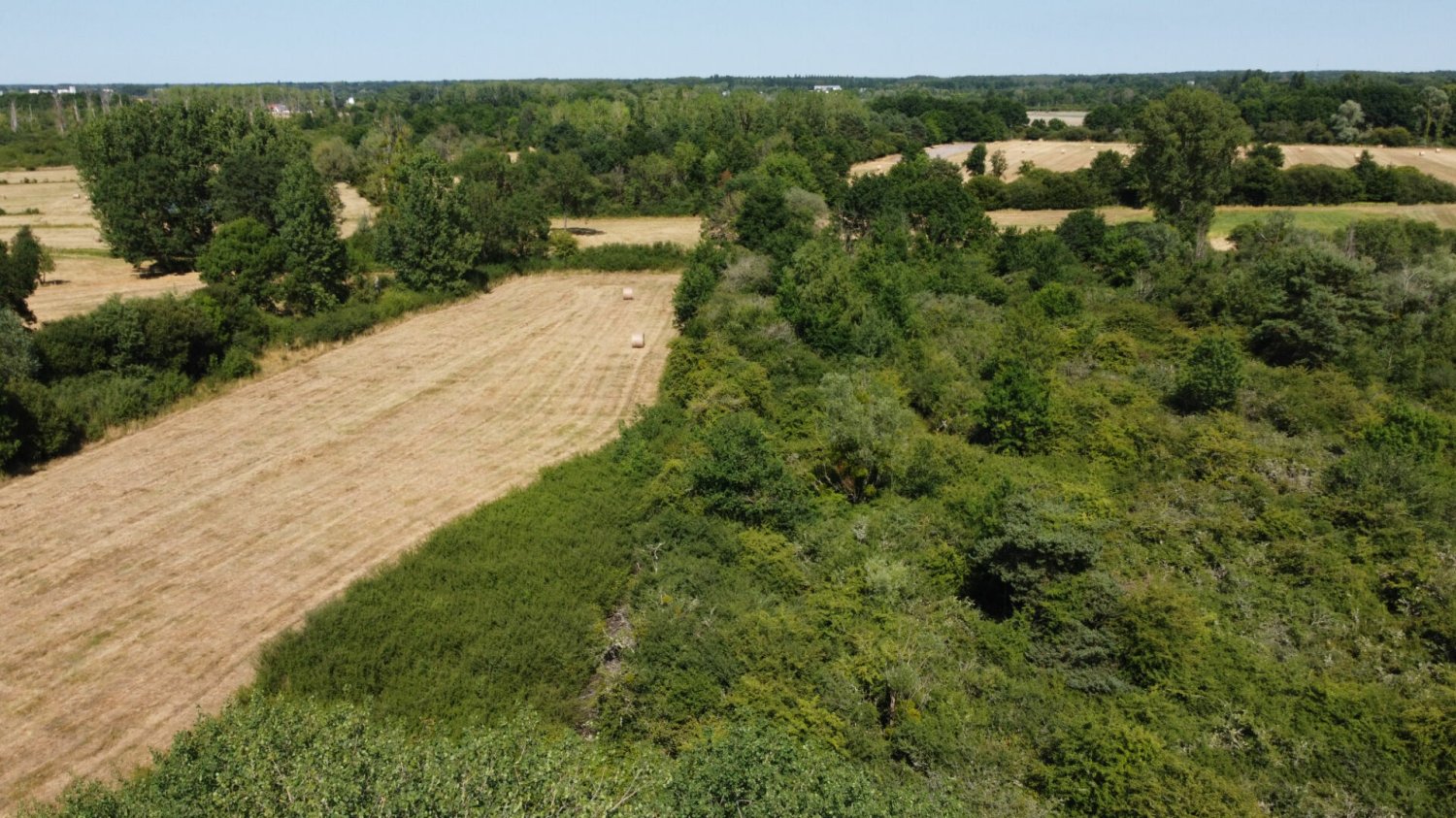 Terreno en Pruniers-en-Sologne, France No. 302678