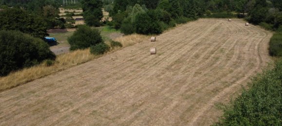 Terreno en Pruniers-en-Sologne, France No. 302678 4