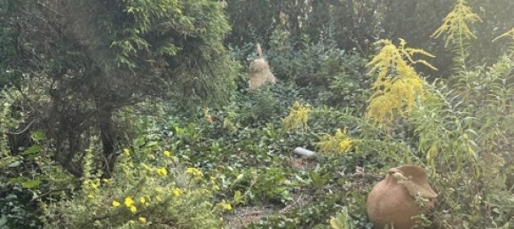 4 Schlafzimmer Stadthaus in Fürth, Germany, Nr. 43965 4