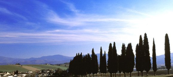 22 rooms House in Barberino di Mugello, Italy No. 51534 24