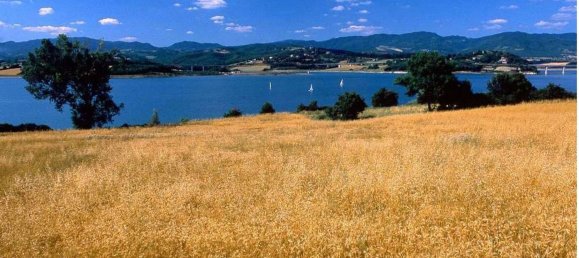 22 rooms House in Barberino di Mugello, Italy No. 51534 22