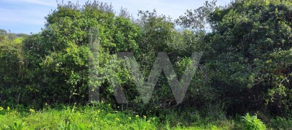 Terrain à Mafra, Portugal 2250m² No. 64247 15