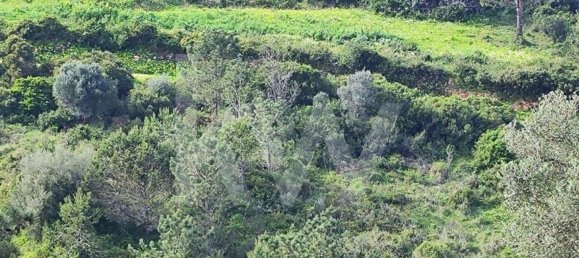 Terrain à Mafra, Portugal 2250m² No. 64247 11