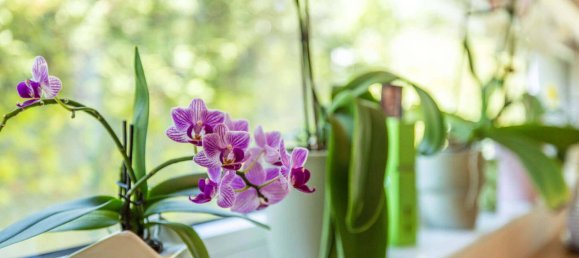 5 bedrooms House in Dobling, Austria No. 257245 11