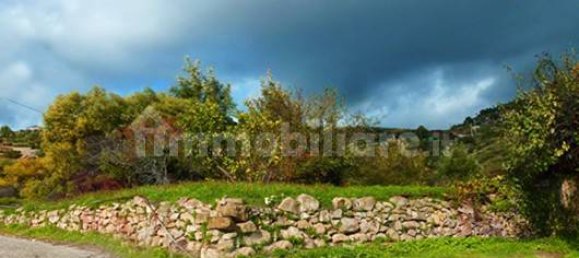 1 chambre Maison à Bordighera, Italy No. 119883 10