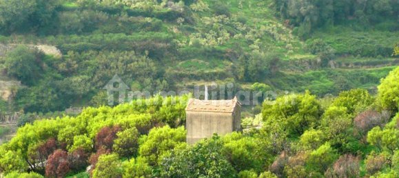1 chambre Maison à Bordighera, Italy No. 119883 13
