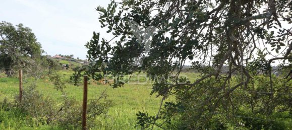 Grundstück in Guia, Portugal 15000m², Nr. 69484 3