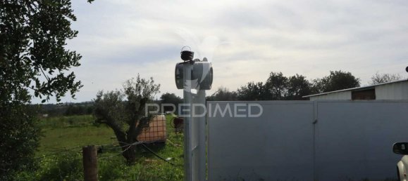 Grundstück in Guia, Portugal 15000m², Nr. 69484 6