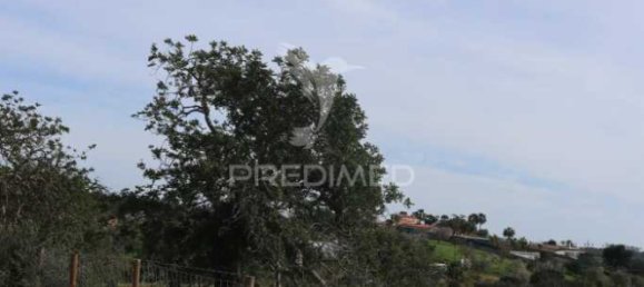 Grundstück in Guia, Portugal 15000m², Nr. 69484 10