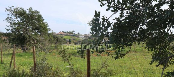 Grundstück in Guia, Portugal 15000m², Nr. 69484 11