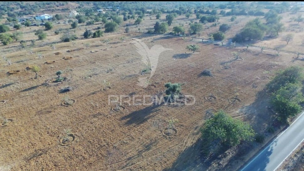 Grundstück in Guia, Portugal 15000m², Nr. 69484