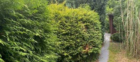  قطعة أرض في Oberhavel, Germany رقم 320920 4