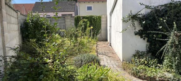 3 rooms House in Neusiedl an der Zaya, Austria No. 248173 20