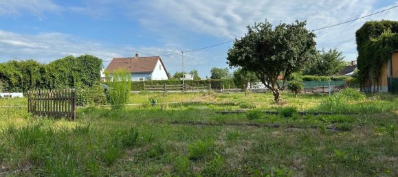 Land in Linz, Austria No. 78999 5