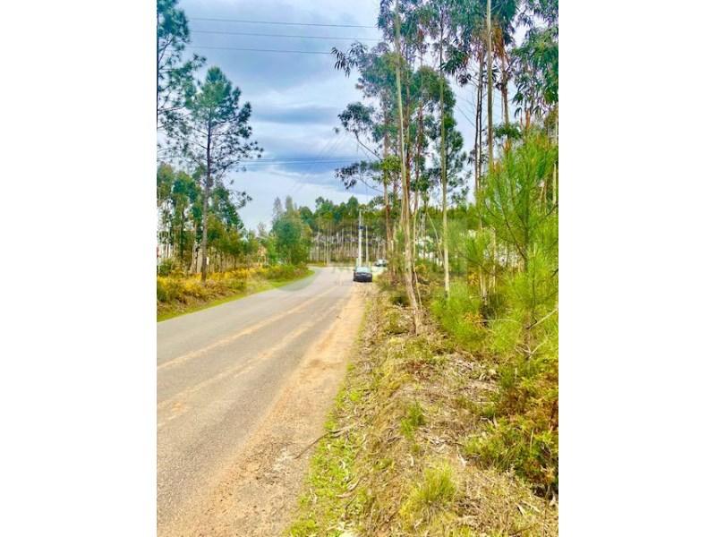  قطعة أرض في Agueda, Portugal 9720متر مربع رقم 202129