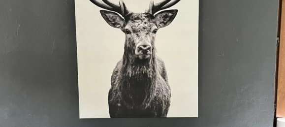 3 chambres Maison à Obersteinbach, France No. 344658 10