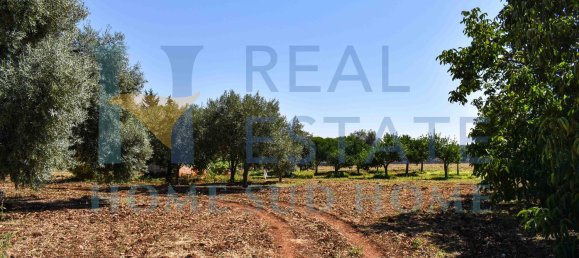 4 rooms House in Noto, Italy No. 20335 17