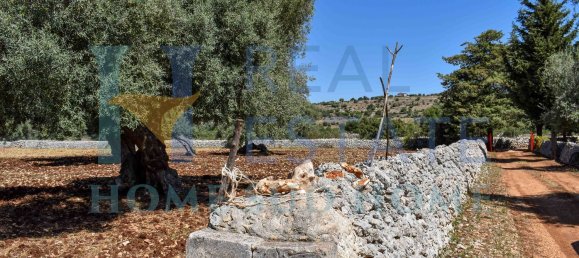 4 rooms House in Noto, Italy No. 20335 20