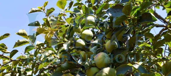 4 rooms House in Noto, Italy No. 20335 46