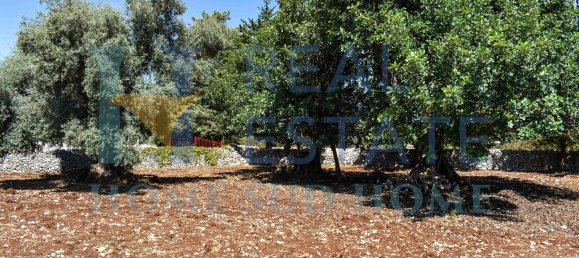 4 rooms House in Noto, Italy No. 20335 50