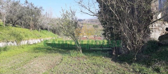 1 room Land in Montoro, Italy No. 119098 4