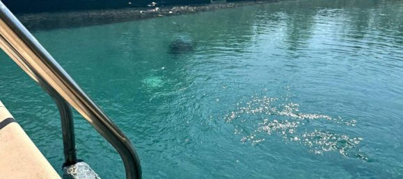 17 rooms House in Città di Castello, Italy No. 102211 45