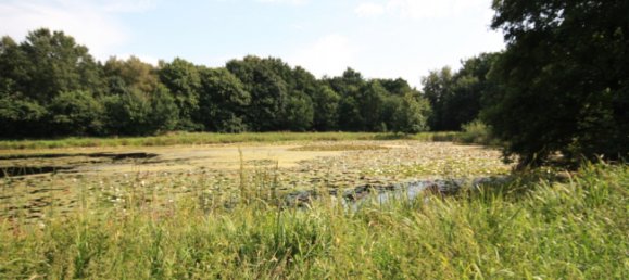 5غرفة منزل في Leer, Germany رقم 285530 26