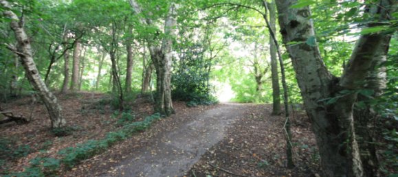 5غرفة منزل في Leer, Germany رقم 285530 24