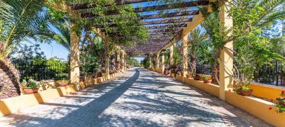 5 bedrooms House in Alicante, Spain No. 155208 38