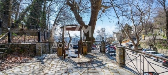 Земельный участок с 1 спальней в Магнисия, Фессалия, Фессалия и Центральная Греция, Греция № 32319 2