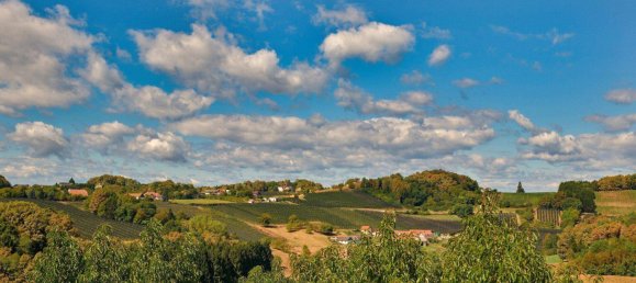 5 rooms House in Kukmirn, Austria No. 131022 17