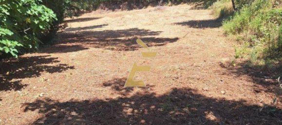 2 bedrooms Villa in Vibo Valentia, Italy No. 276539 5