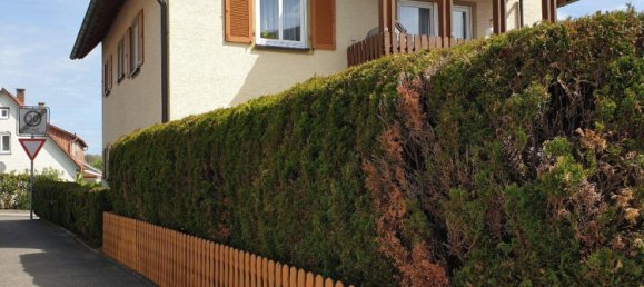 10-salle Maison de ville à Ludwigsburg, Germany No. 219174 18