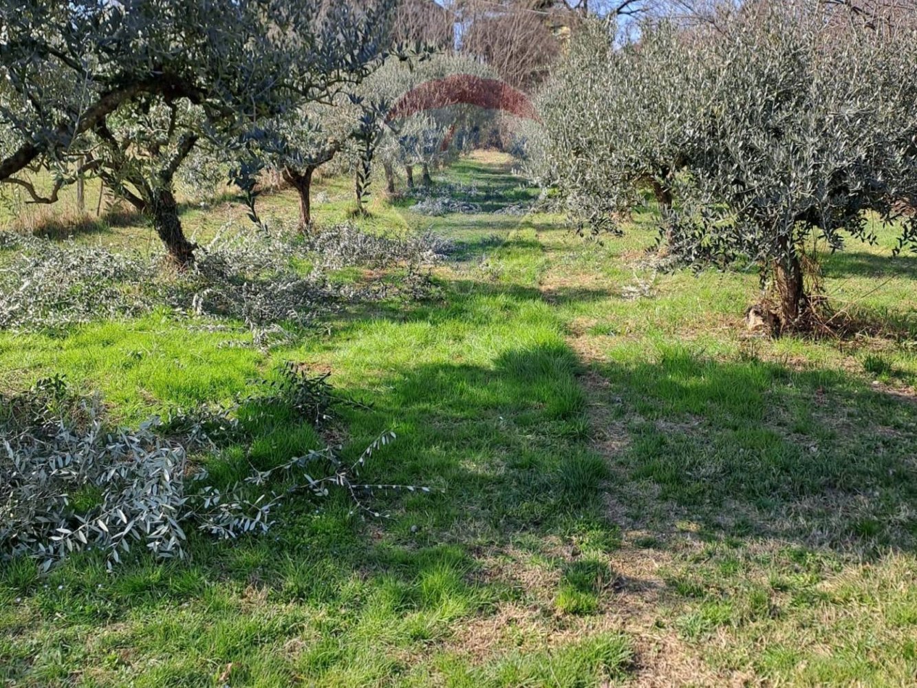 9500m² Land in Verona, Italy No. 356221