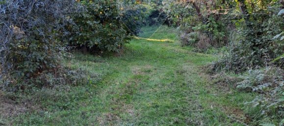 9500m² Land in Verona, Italy No. 356221 6