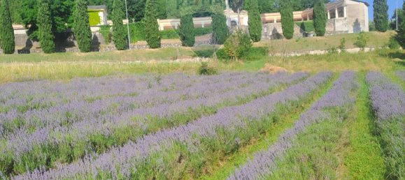 9500m² Land in Verona, Italy No. 356221 3