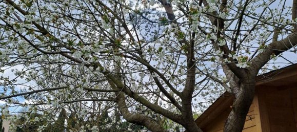 9500m² Land in Verona, Italy No. 356221 4