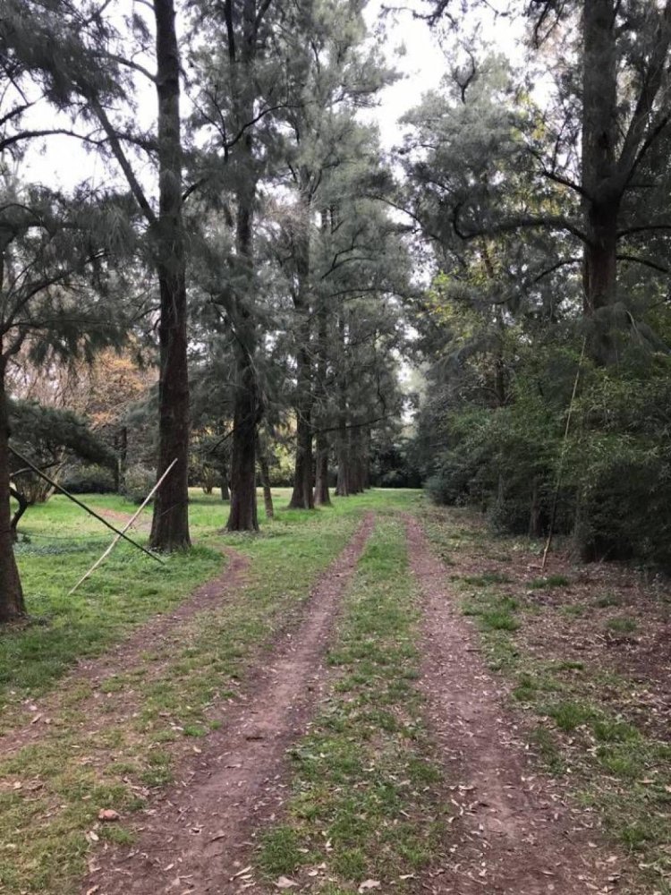 13m² Land in Pilar, Argentina No. 31036