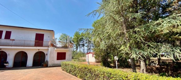 Вилла с 8 комнатами в Битонто, Италия № 24966 5