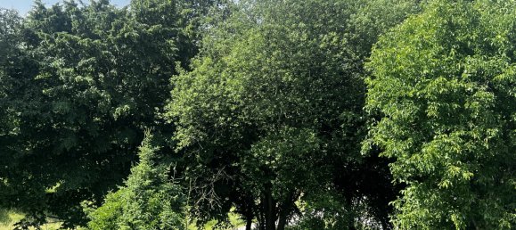 Duplex de 3 divisões em Mettmann, Germany N.º 345927 6