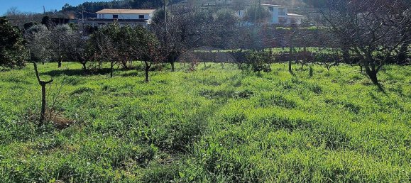 Дом с 3 спальнями в Фундан, Португалия № 41174 12