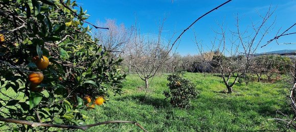 Дом с 3 спальнями в Фундан, Португалия № 41174 22