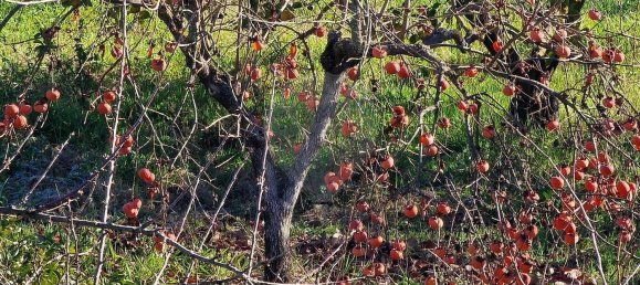 Дом с 3 спальнями в Фундан, Португалия № 41174 11