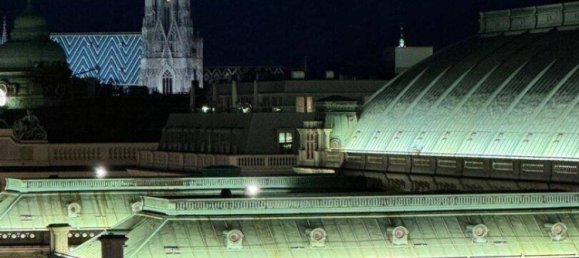 5 rooms Commercial property in Vienna, Austria No. 129279 4