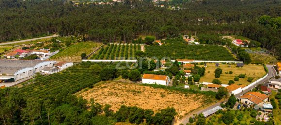 Terreno en Agueda, Portugal 1883 m² No. 78828 8