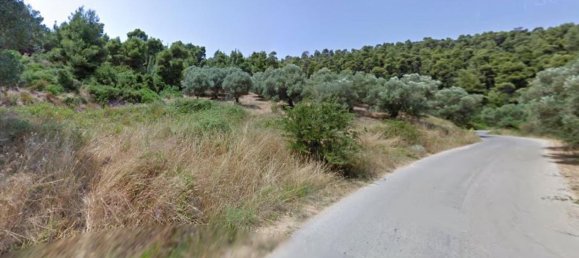 4157m² Hotel in Chalkidiki, Greece No. 4313 2